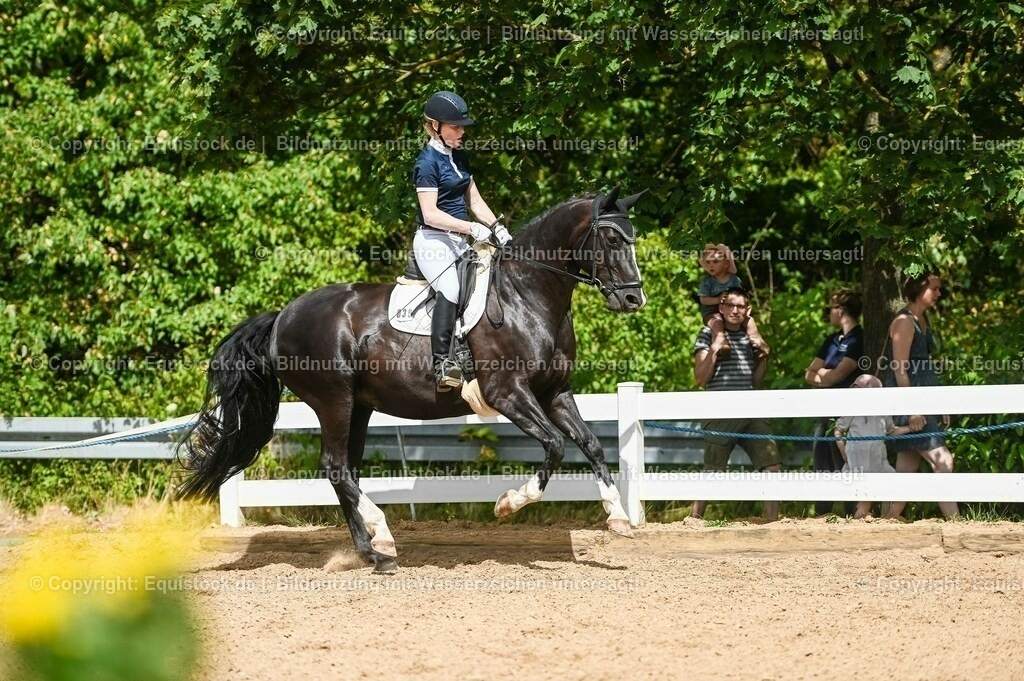 20230715_02_Dressurreiterprüfung Kl.L_0362 | equistock