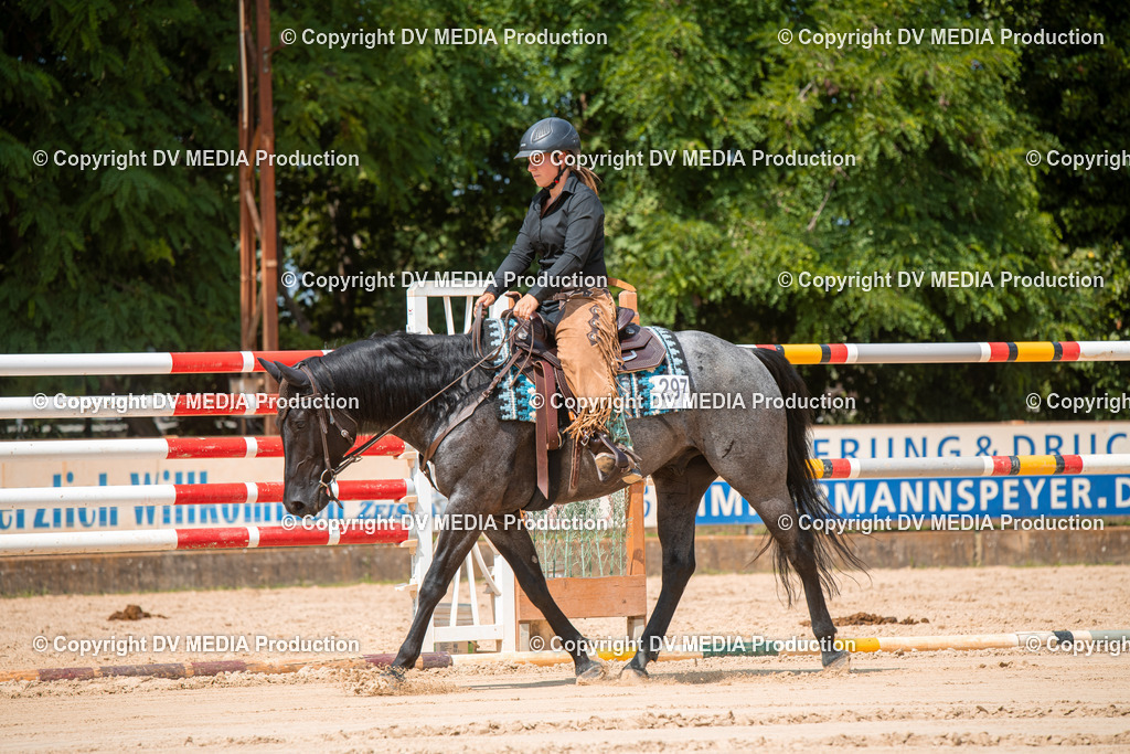 ZS2_8236 | dv-media-shop - Realisiert mit Pictrs.com