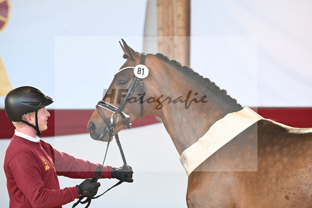 Kat.-Nr. 81 v. Vivino_Freisel_2242917 | hf-fotografie - Realisiert mit Pictrs.com