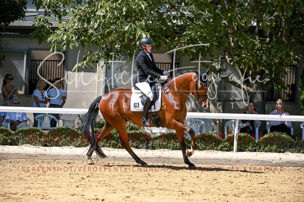 Schugtsche-Aluta25-49.Dressurpferdeprf.A-262 | Schugtsche Fotografie - Realisiert mit Pictrs.com