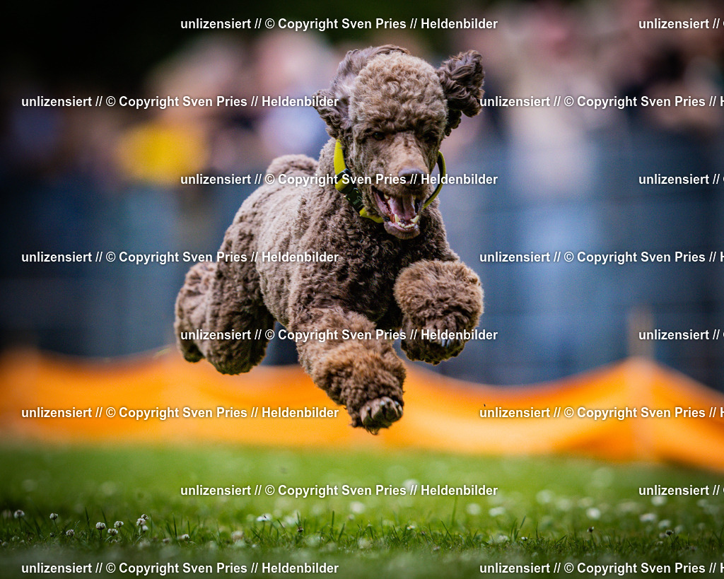 Sven Pries | 2025-05-29 - Pudelrennen KA-Durlach - Realisiert mit Pictrs.com