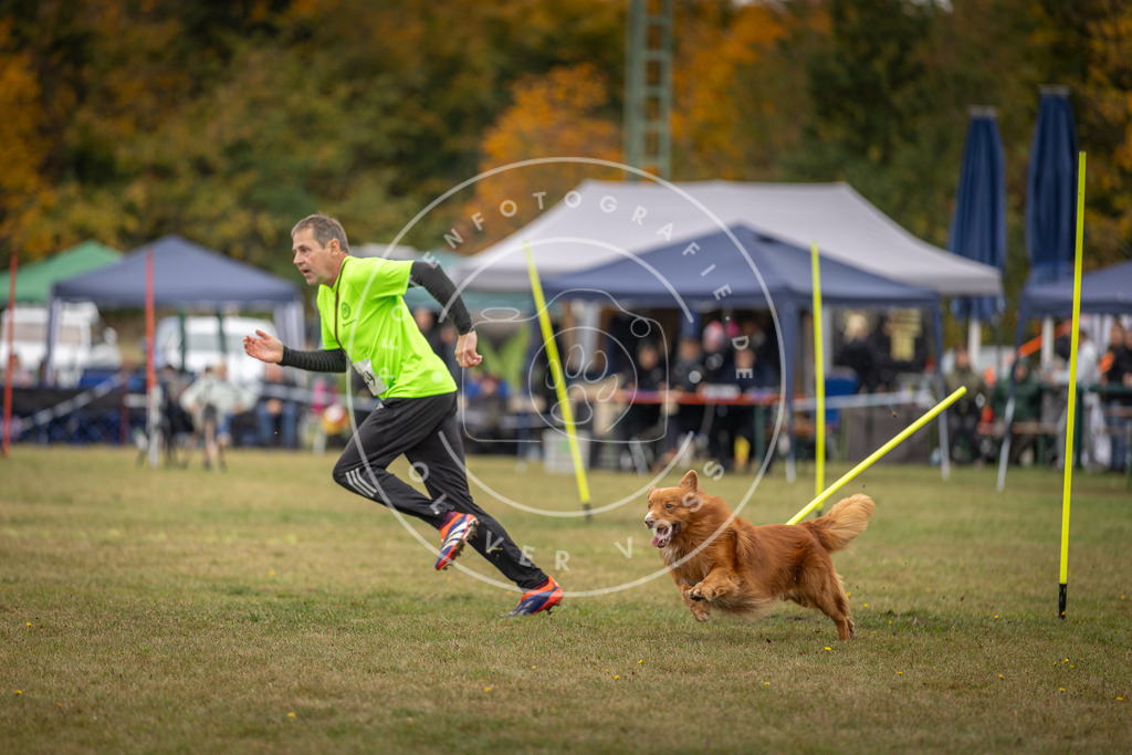 Pfotenfotografie_DV3A6336 | Hundefotografie, Tierfotograf, Pfotenfotografie, Fotoshooting Hund, Hunde Portrait, Hundesport, Hundeportraits, Heideshooting, Hunde, Sportfotograf, Hundefotograf, Turnierhundsport, THS,  - Realisiert mit Pictrs.com