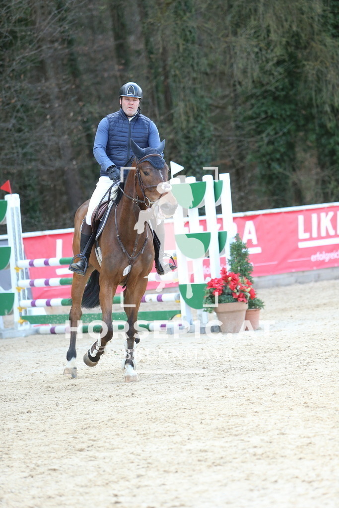 DL2Q9676 | Willkommen bei Brunnmayr - Design & Fotografie – Ihrem Spezialisten für Reitturniere und Pferdeveranstaltungen in Oberösterreich, Salzburg und Bayern! Seit über 17 Jahren sind wir leidenschaftlich dabei.