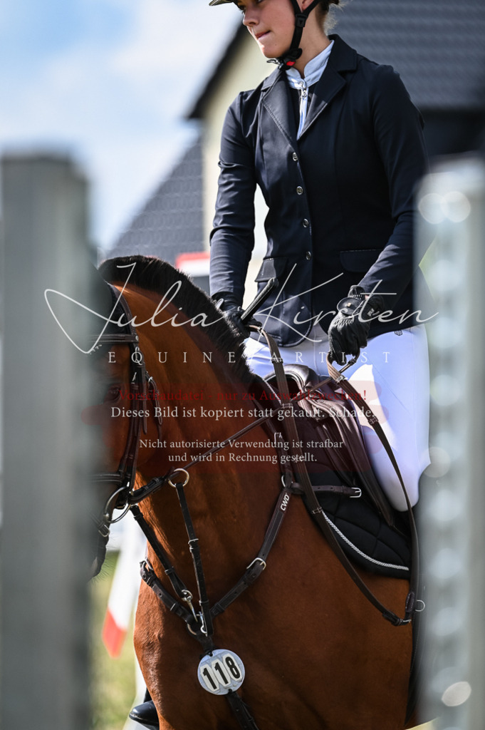 DSC_7905 | Pferde- und Turnierfotografie in Westsachsen. Pferdeportraits, Auftragszeichnungen und intuitive Kunst.