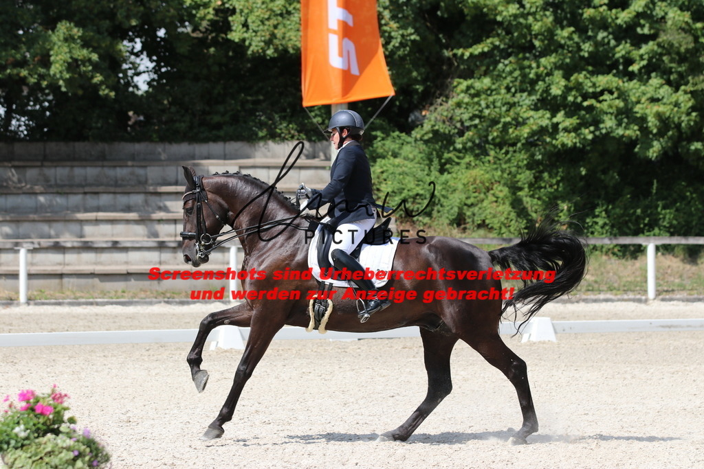 IMG_7285 | lmwpictures - Realisiert mit Pictrs.com