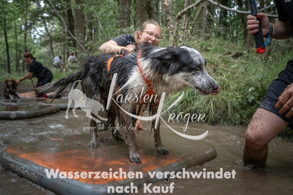 1212_ZZ97696T | kk-dogfotos