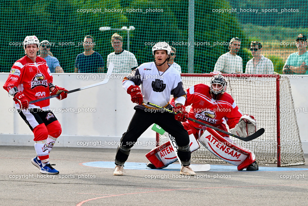 VAS Ballhockey vs. HSC Eagles Poggersdorf | #10 Sunitsch Marco, #38 Kravanja Kristian, #31 Sicher Michael, VAS Ballhockey vs. HSC Eagles Poggersdorf, VAS Ballhockey vs. HSC Eagles Poggersdorf am 14.07.2024 in Villach (Alpen Arena ), Austria, (Photo by Bernd Stefan)