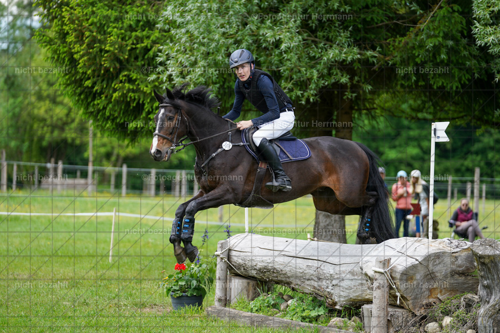 20240518-FAH03869 | Turnierbilder von Niederseon, Turnierfotografen Bayern, Fotoagentur Herrmann, Geländebilder, Reitsportfotografie