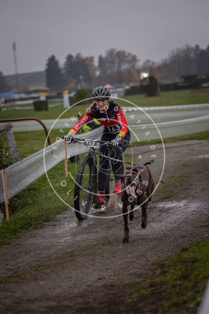CaniXpix_0L8A0275 | Hundefotografie, Tierfotograf, Pfotenfotografie, Fotoshooting Hund, Hunde Portrait, Hundesport, Hundeportraits, Heideshooting, Hunde, Sportfotograf, Hundefotograf, Turnierhundsport, THS,  - Realisiert mit Pictrs.com