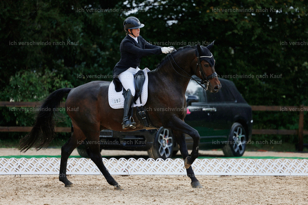 8_2-193-DRESSUR S_  -StoibPH-4520 | working equitationturnier fotograf videograf stoibphotography marixx film working equitation deutschland reitsport turnierfotografie eventfotografie equestrian events