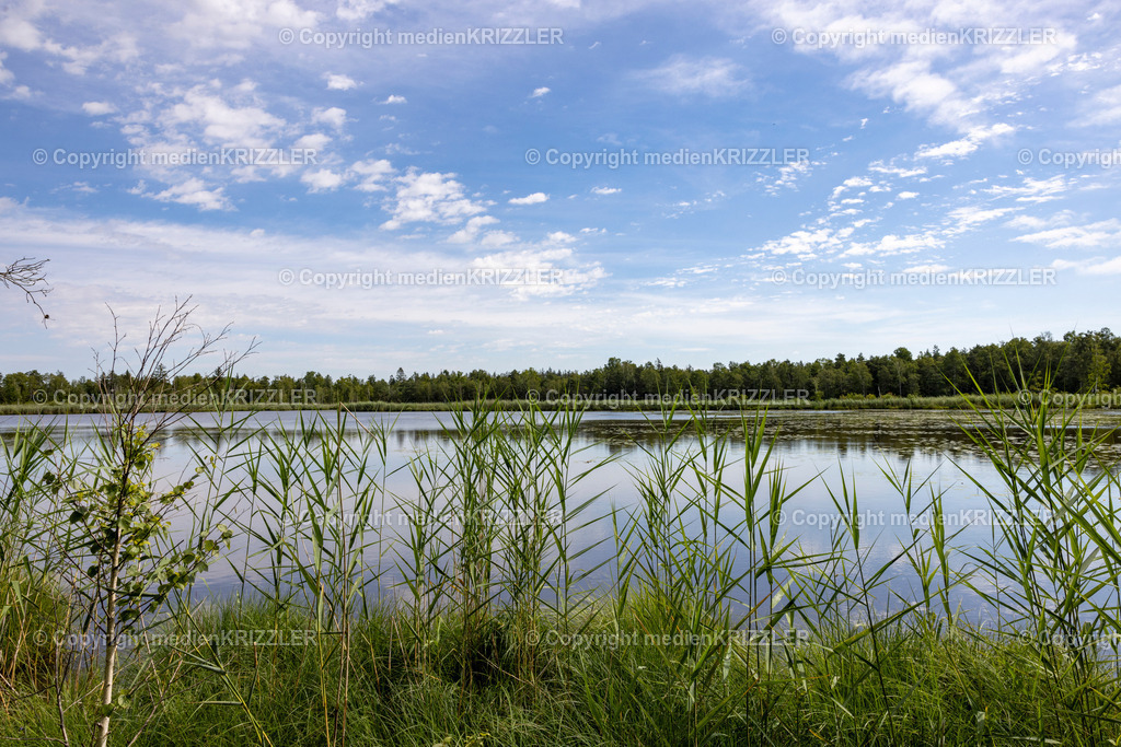 _J3A5409 | medienkrizzler - Realisiert mit Pictrs.com