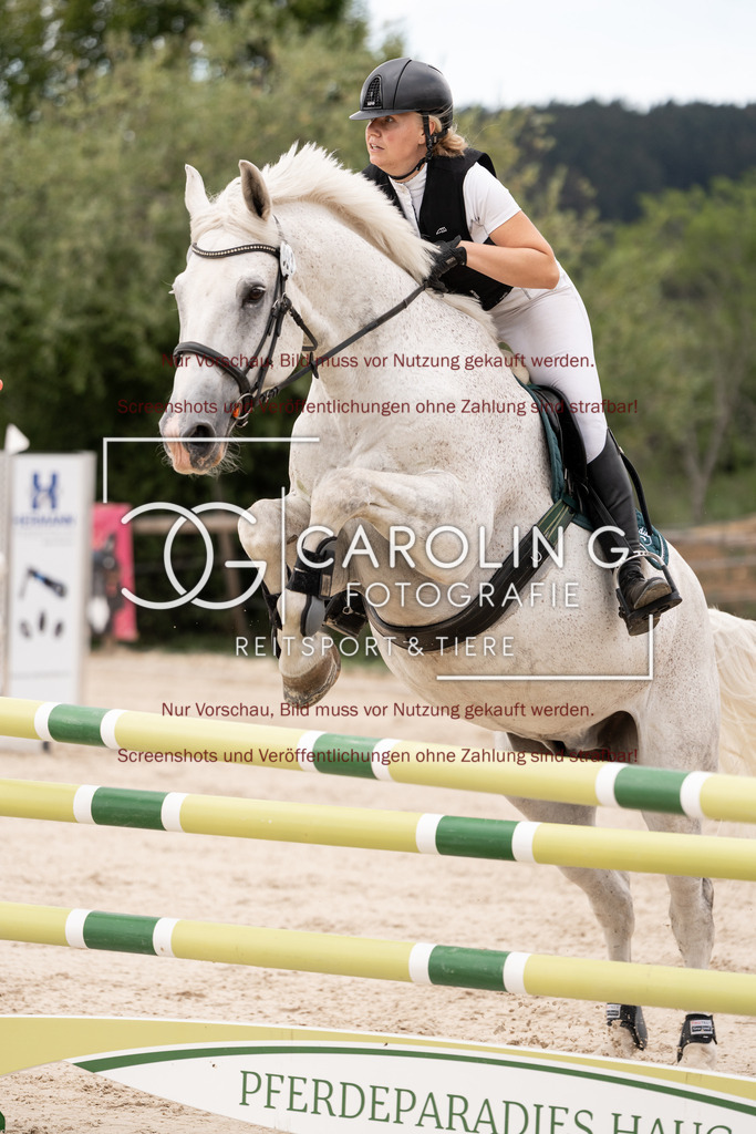 DSC06505 | Springturnier_Teamchallege_Talheim_2026, Natascha_Pfaff, Clover's_Hope_SD