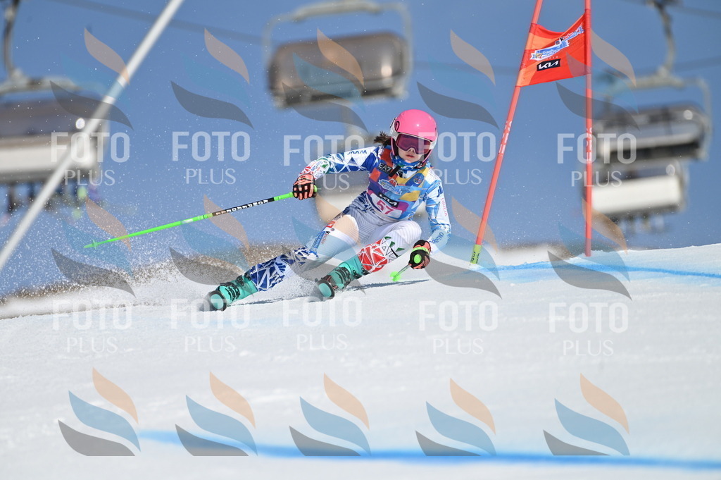 BGV_8660 | holidayphoto