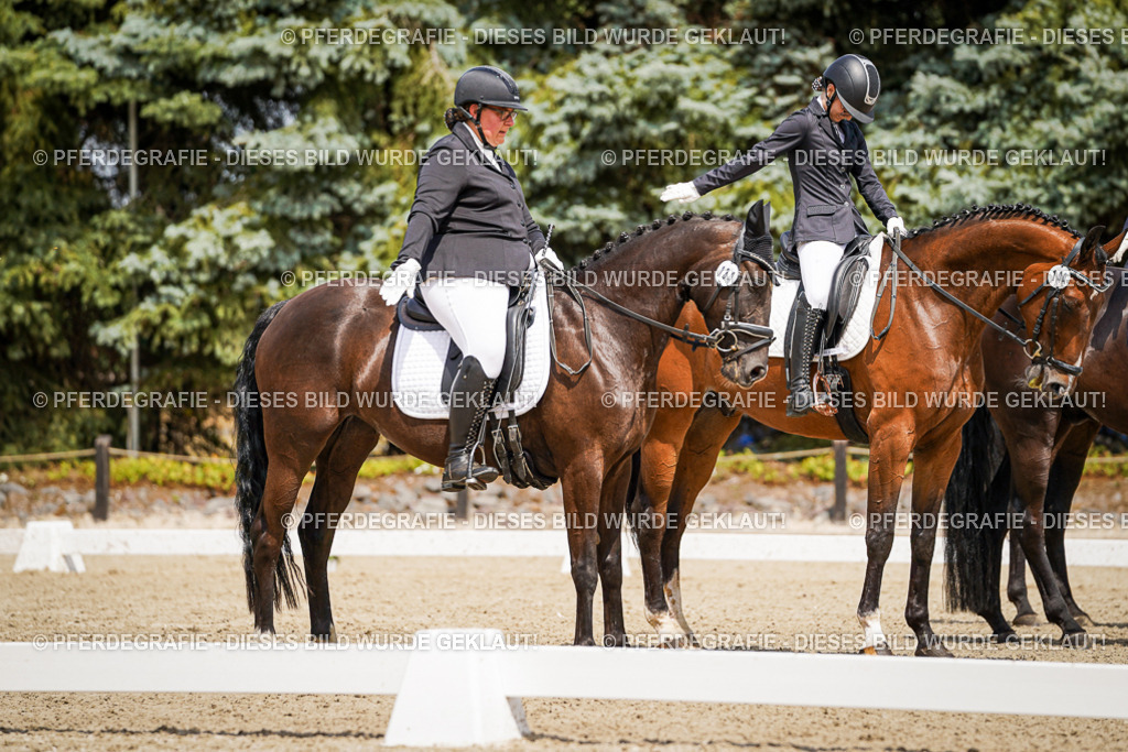 DSC02862 | Pferdegrafie