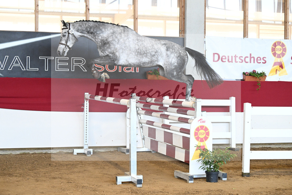 Kat-Nr. 50 Chuck Bass ZSZ v. Cahil_Hieber_7251151 | hf-fotografie - Realizzato con Pictrs.com