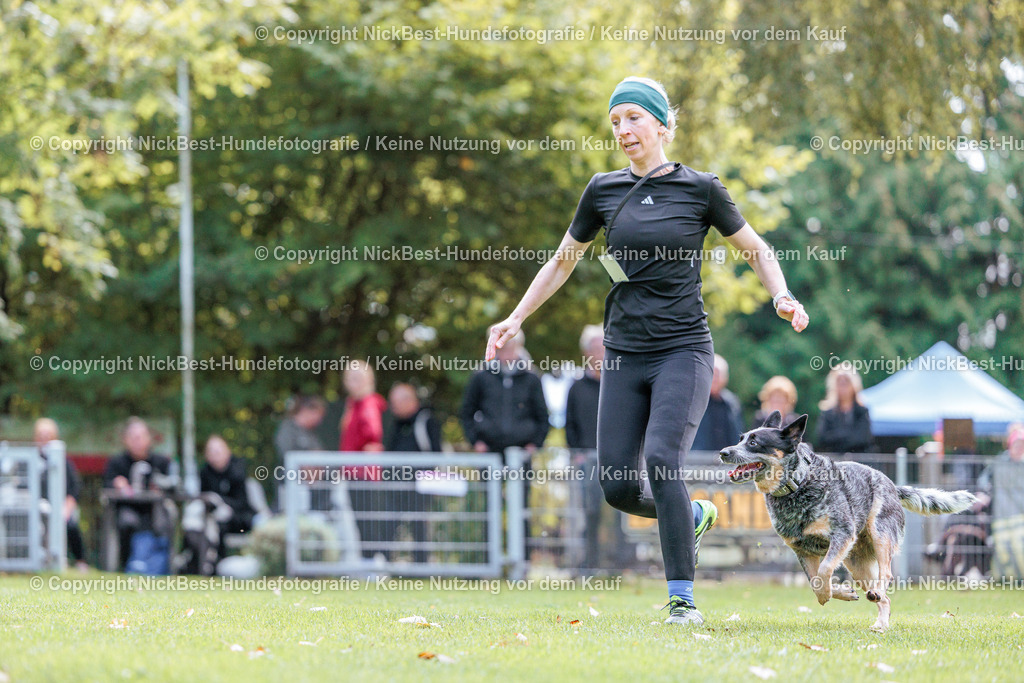 THS-HSV-Blumenthal-2026-Nickbest-Hundefotografie-2850 | Dein Hund! Dein Moment! Deine Erinnerungen! Hundefotografie in Bremen Blumenthal. Ich fange die besonderen Momente deines Vierbeiners ein – ob Indoor mit Blitzanlage oder in der freien Natur. Sicher dir dein Moment und dein Termin für eure Erinnerungen.