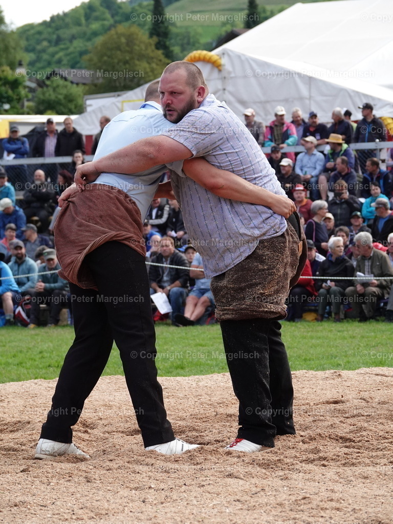 DSC07030 | Schwingen - Realisiert mit Pictrs.com