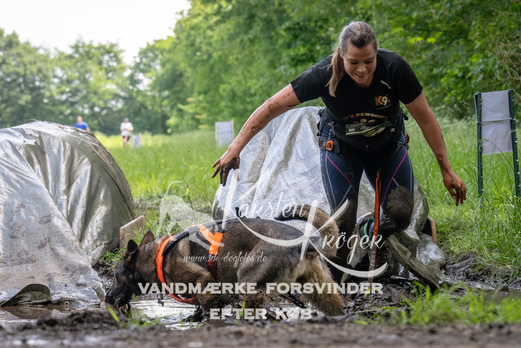 1147_ZZ94512 | kk-dogfotos