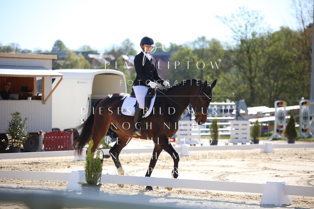 IMGT9323 | pl-fotografie