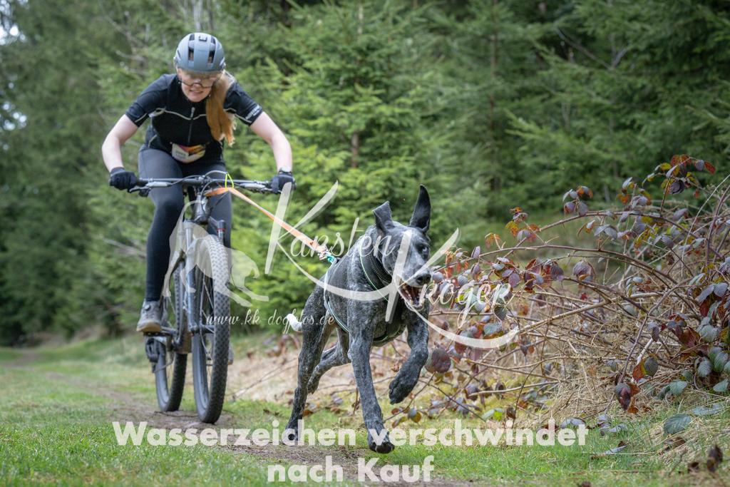 1310_ZZ93859 | kk-dogfotos