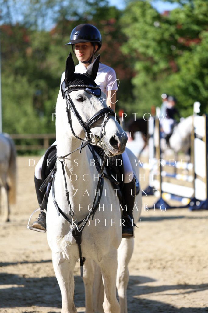 IMGS5833 | pl-fotografie