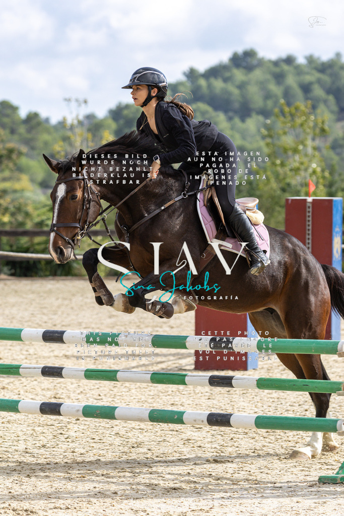 IMG_3006 | s-jay-photography - Realisiert mit Pictrs.com