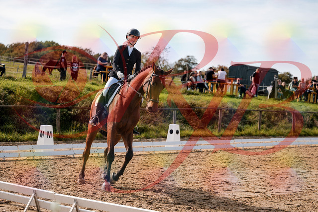 2026_10_03_Siefer-Hof_131054_Z63_74519707 | Professionelle Reitsport-, Turnier- und Eventfotografie von Robert Broda. Galerien mit ausgewählten und bearbeiteten Bildern direkt online ansehen und bestellen.