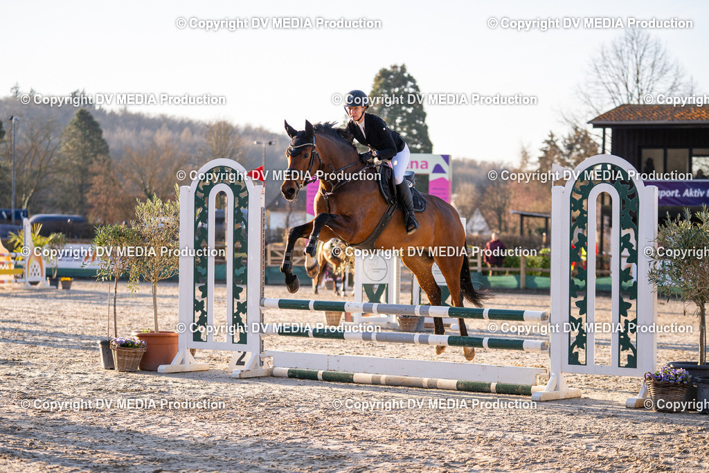 DSC-233 | dv-media-shop - Realisiert mit Pictrs.com