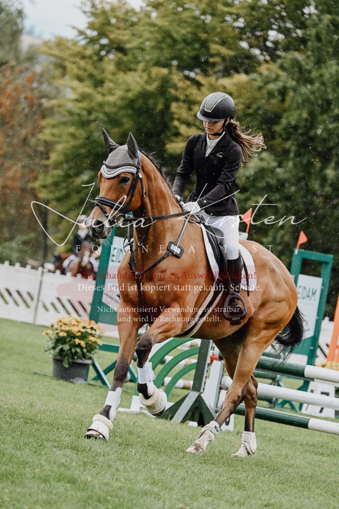 DSC_6948 | Pferde- und Turnierfotografie in Westsachsen. Pferdeportraits, Auftragszeichnungen und intuitive Kunst.