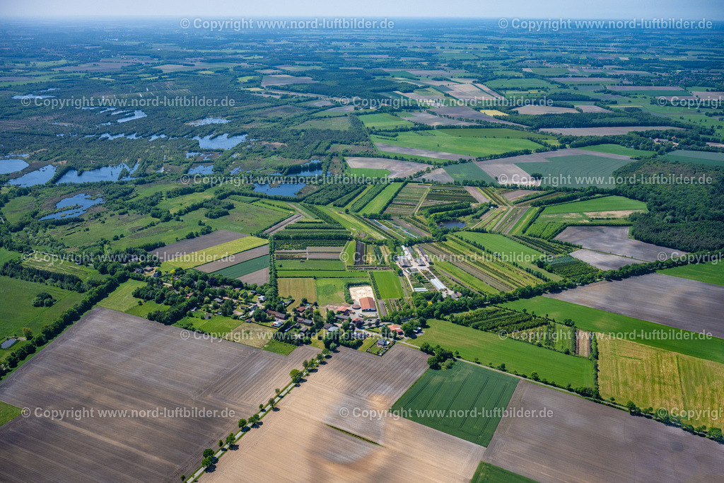 Oldendorf_Tannenhof_Uhlendorf_ELS_8302280523 | OLDENDORF 28.05.2023 Baumreihen auf Feldern " Tannenhof " in Oldendorf im Bundesland Niedersachsen, Deutschland. // Row of trees on fields " Tannenhof " in Oldendorf in the state Lower Saxony, Germany. Foto: Martin Elsen