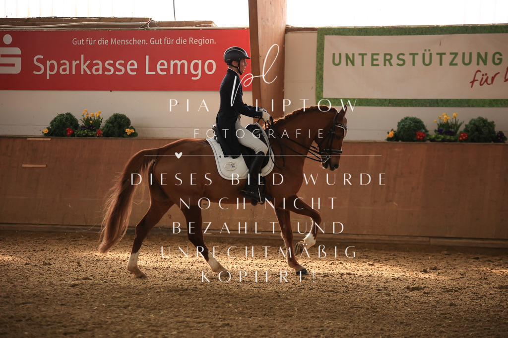 IMGT4608 | pl-fotografie