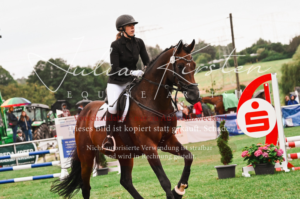 DSC_6563 | Pferde- und Turnierfotografie in Westsachsen. Pferdeportraits, Auftragszeichnungen und intuitive Kunst.