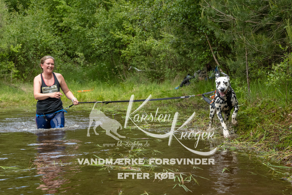 1110DKK994231 | kk-dogfotos