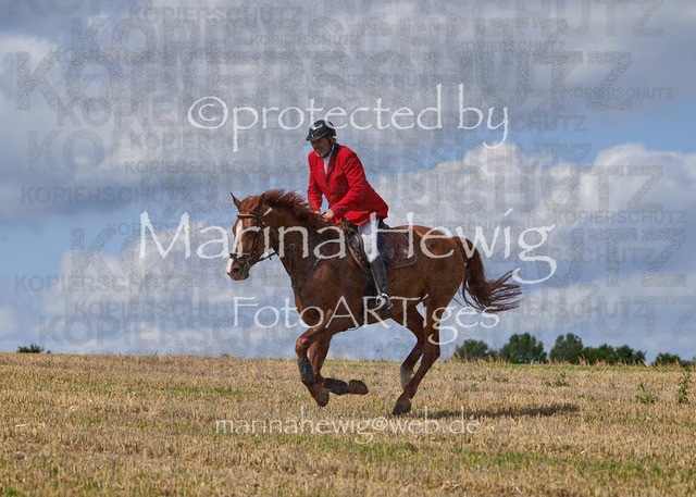 _MCH8500_Marina Hewig | Fotografie, FotoArt, PferdesportArt, Pferdesportfotografie, Landschaftsfotografie, Reisefotografie, Reise, Pferde - Realisiert mit Pictrs.com