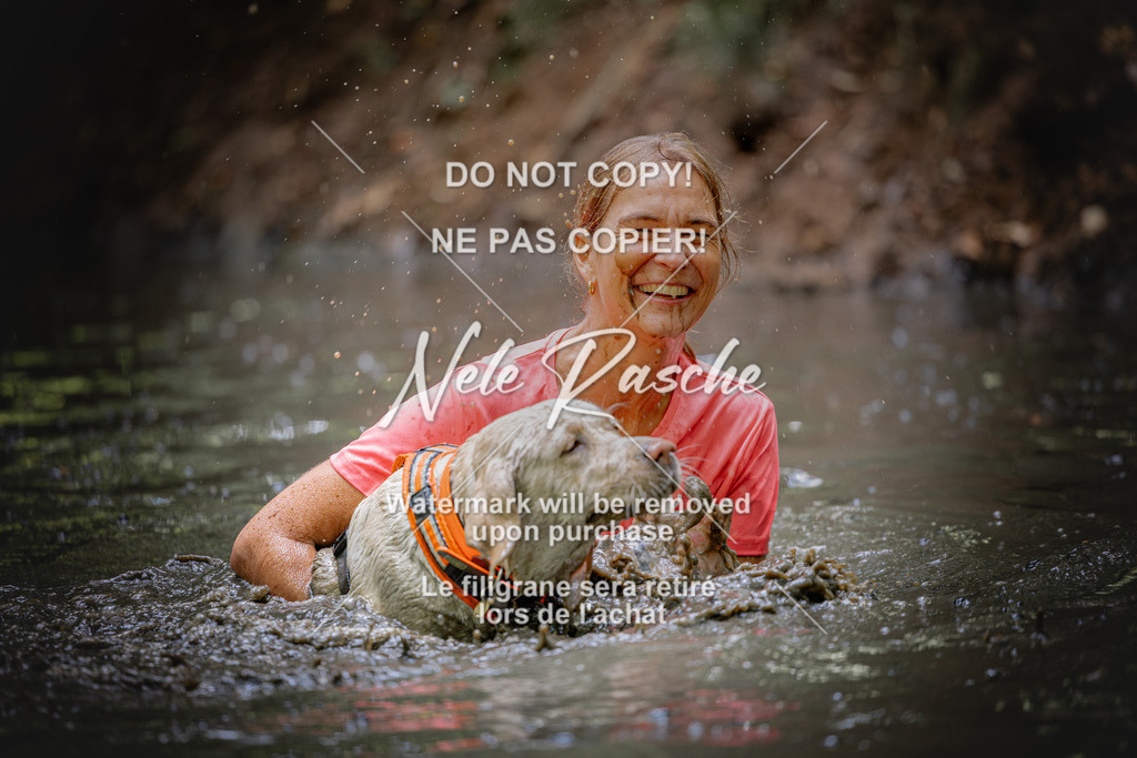 nelerasche_SaWingst1530-1600_279 | nelerasche