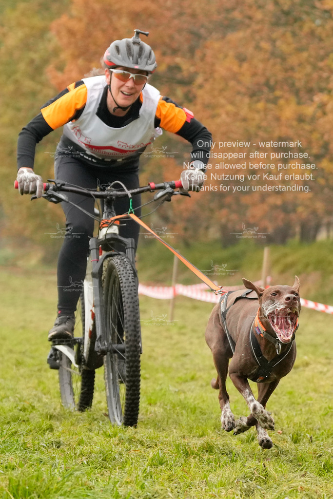 AusschnitteSa-98 | stephaniefillaphotographie - Realisiert mit Pictrs.com