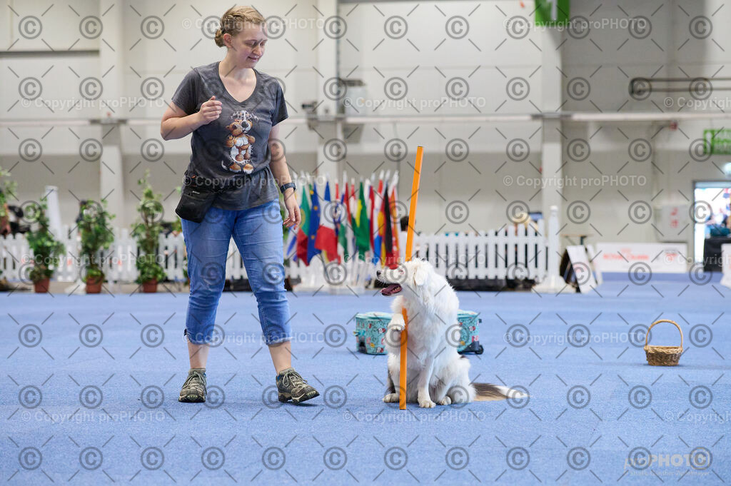 202406_ÖKV-IHA-Tulln24_DSC_4522 | proPHOTO - Realisiert mit Pictrs.com