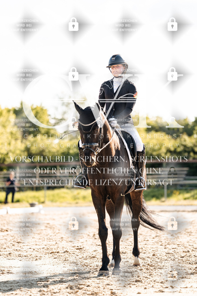 CK909983 | Turnierfotografie Pferdefotografie Trier Rheinland-Pfalz Pferdesport Reitsport Tierfotografie Sportfotografie Pferdevideo Pferdevideografie Equestrianvideography equestrianphotography  - Realisiert mit Pictrs.com
