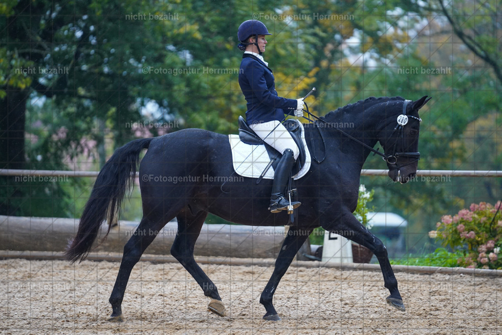 20221008-FAH02180 | Diessen am Ammersee, 2022, Dressur- und Springturnier, Reitsportbilder, Turnierfotografen Bayern, Pferdefotografen, Fotoagentur Herrmann, Turnierbilder