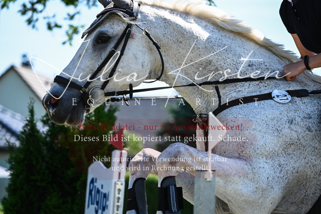 DSC_1091 | Pferde- und Turnierfotografie in Westsachsen. Pferdeportraits, Auftragszeichnungen und intuitive Kunst.