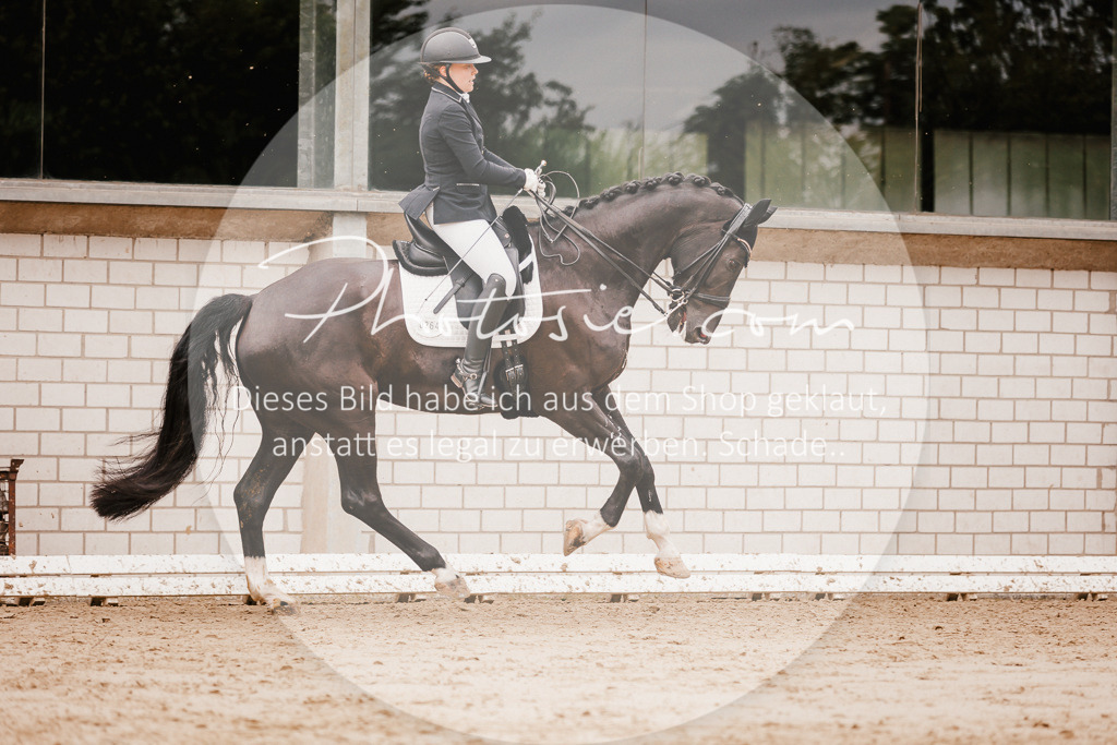 3I6A7720 | Stimmungsvolle Portraits und Reitsportfotografie im Ruhrgebiet und im Münsterland.

Pferdefotografie, Hundefotografie, Tierfotografie, Reportagen, Portraits von Tier und Mensch, Turnierfotografie in Bochum, Recklinghausen, Marl, Haltern am See, Dülmen.. - Realisiert mit Pictrs.com