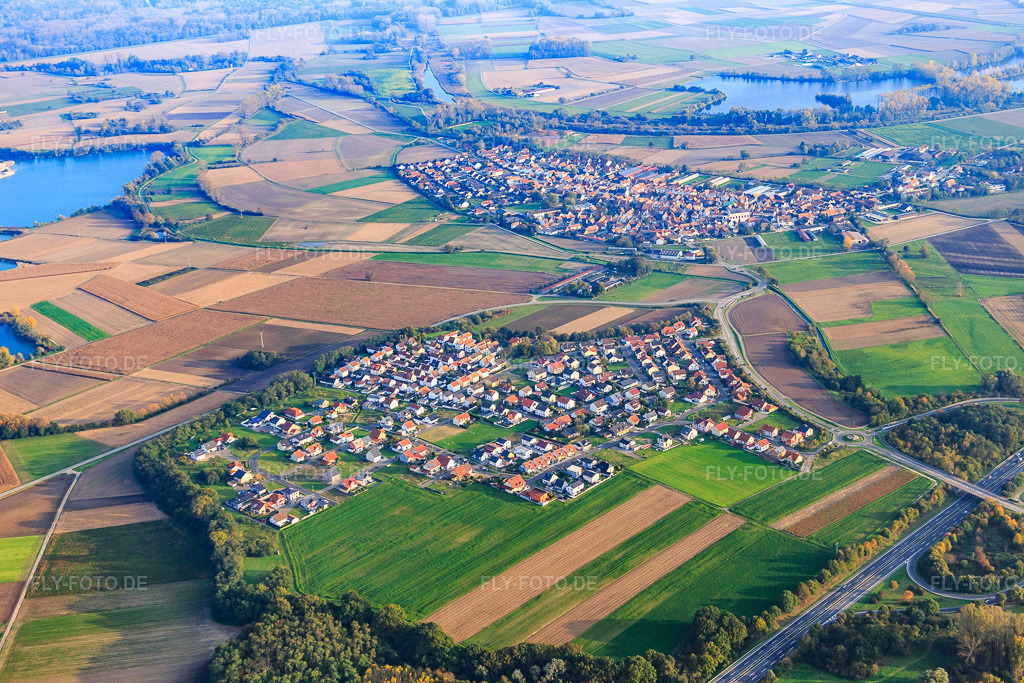 Luftbild: Ortsansicht von Westen in Neupotz im Bundesland Rheinland-Pfalz in Deutschland. Foto: IMG_075519.jpg vom 26.10.2014 durch Werner Riehm/FLY-FOTO.deAuflösung des Originals: 5472 x 3648 px