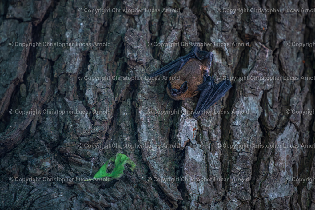 06 - Juni | bildkomponist - Realisiert mit Pictrs.com