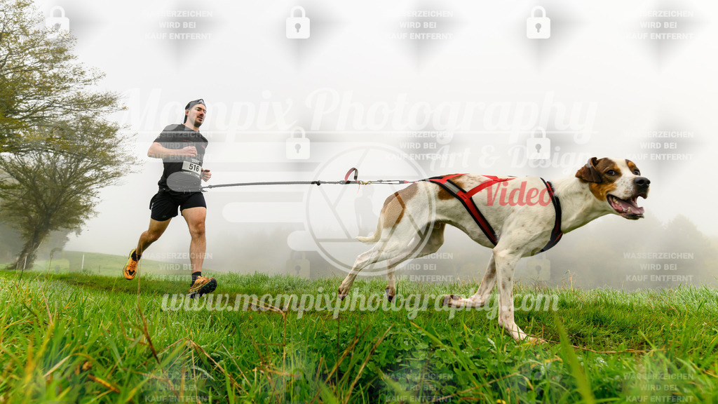 MompixPhotography_20TSB_E5_Run-21 | PayLife