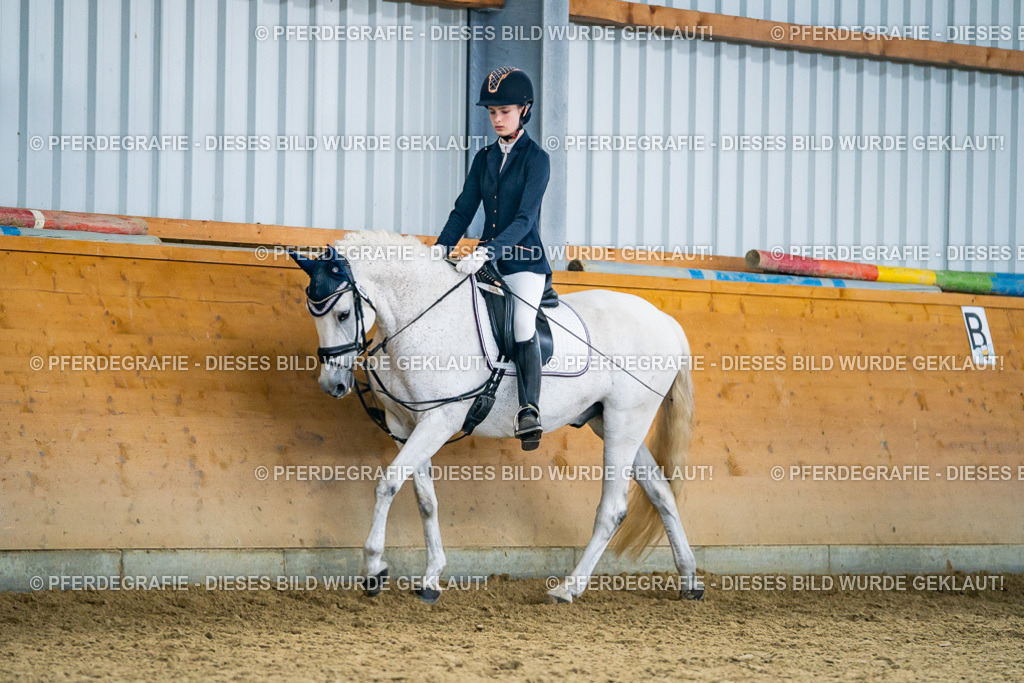 DSC04815 | Pferdegrafie