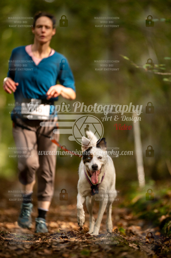 TSB_2023_E1_Canicross-116 | PayLife