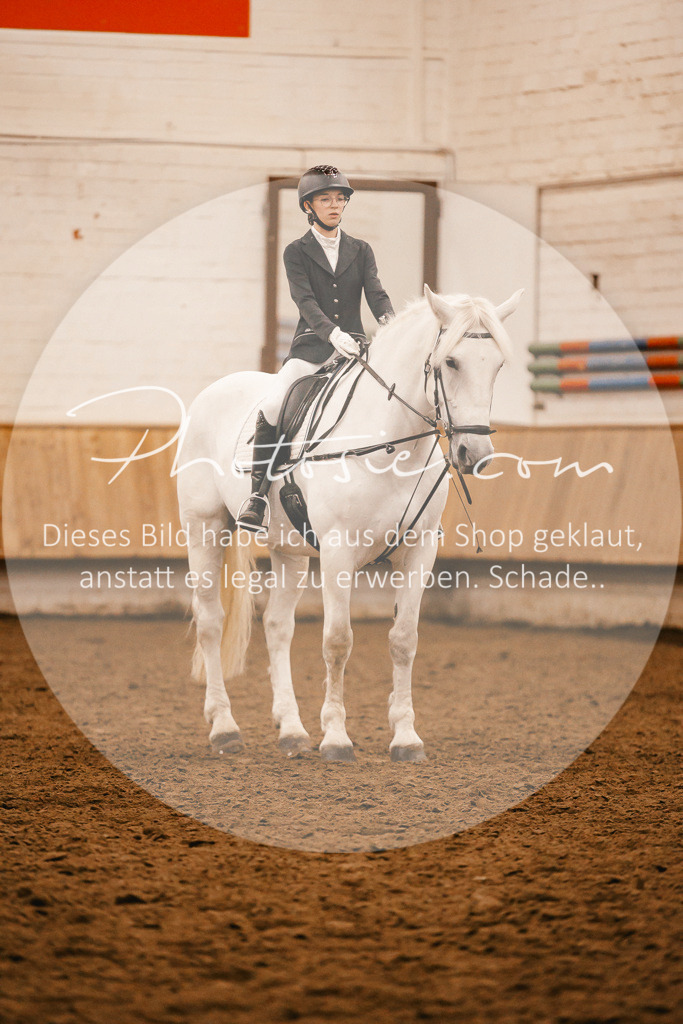 3I6A6218 | Stimmungsvolle Portraits und Reitsportfotografie im Ruhrgebiet und im Münsterland.

Pferdefotografie, Hundefotografie, Tierfotografie, Reportagen, Portraits von Tier und Mensch, Turnierfotografie in Bochum, Recklinghausen, Marl, Haltern am See, Dülmen.. - Realisiert mit Pictrs.com