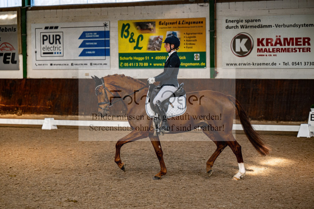 20240308-DOS_4680 | Entdecke hochwertige Reitturnierfotos von Foto Oger. Professionell, emotional und authentisch – jetzt Lieblingsmomente im Shop bestellen.Deutschlandweite Turnierfotografie. - Realisiert mit Pictrs.com