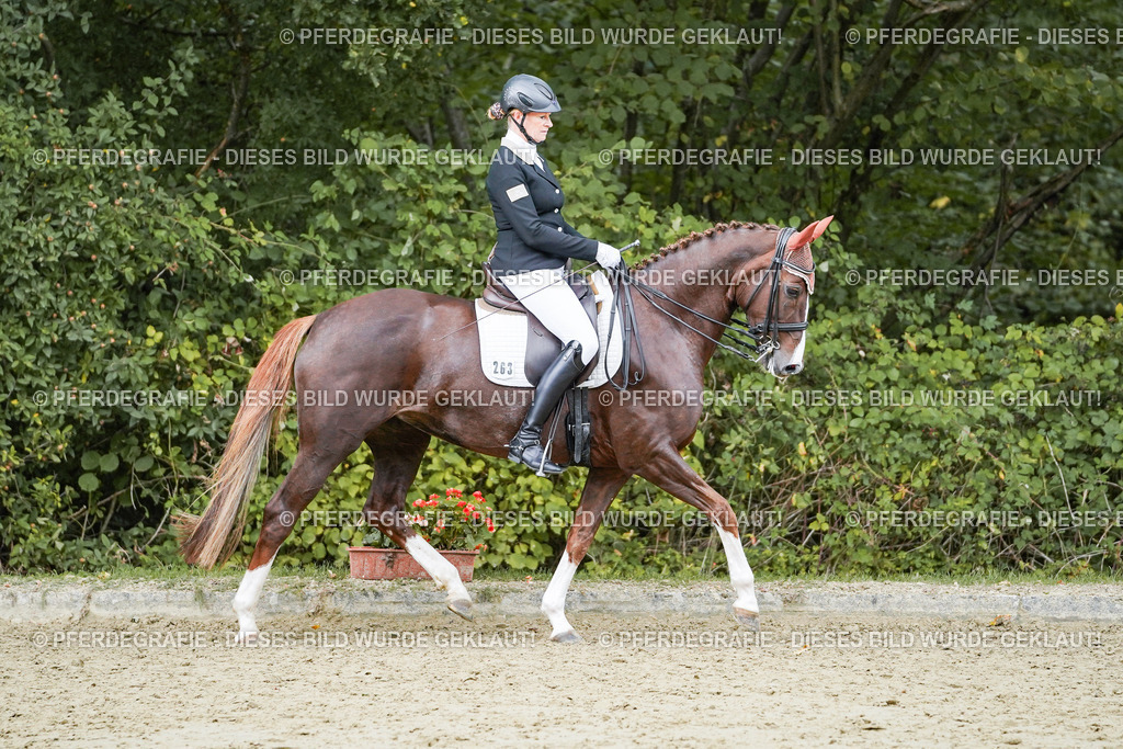 DSC06719 | Pferdegrafie