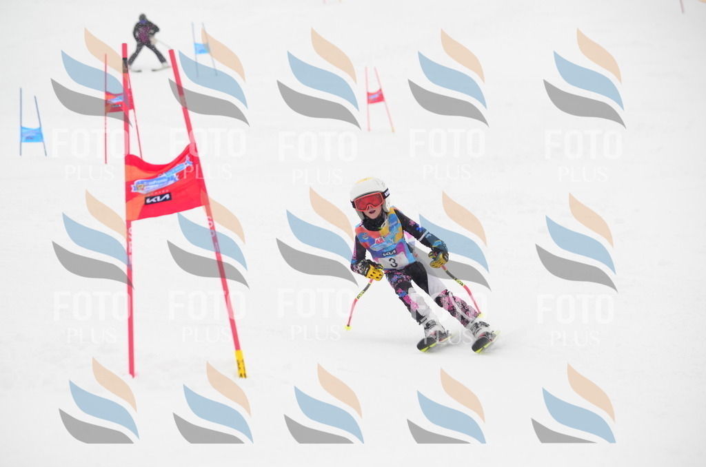 C0531 | holidayphoto